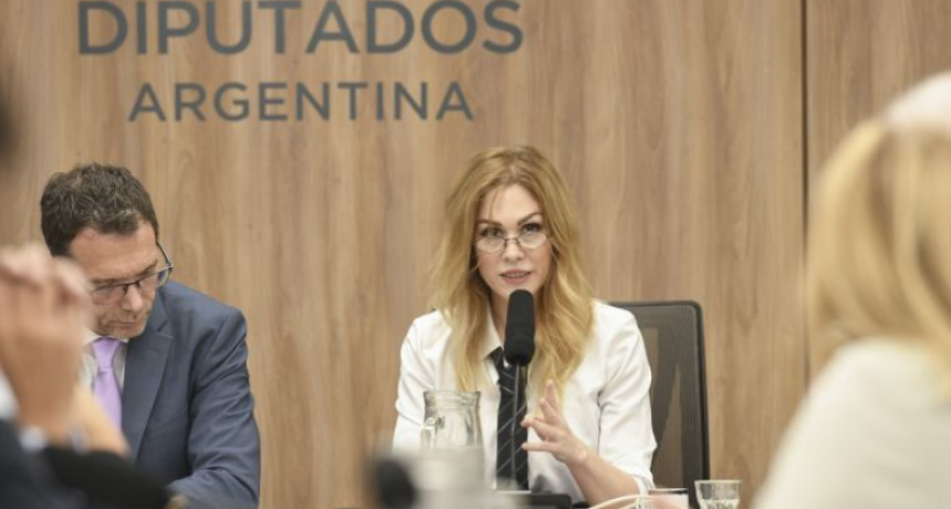 Confirmaron a Lemoine en Juicio Pol&iacute;tico y la oposici&oacute;n invoc&oacute; el caso $LIBRA y la investigaci&oacute;n a Adorni