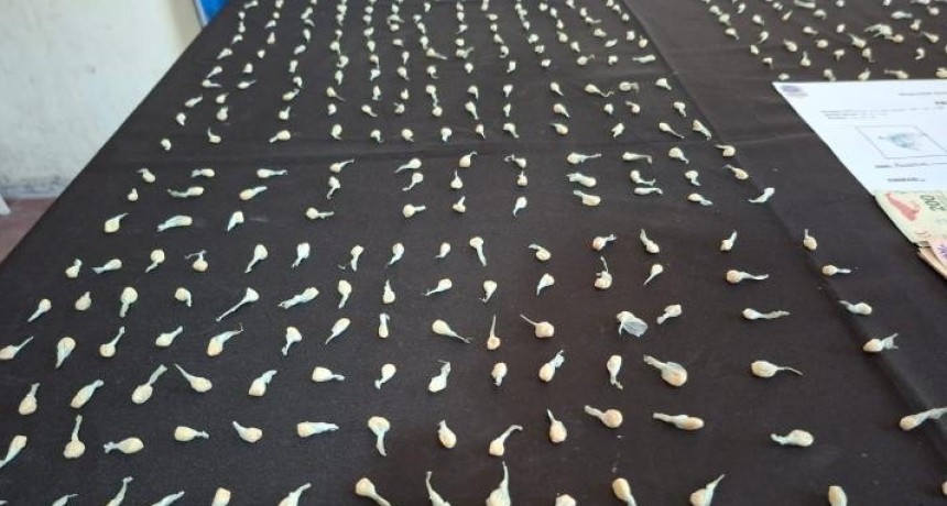 Una pareja fue atrapada con m&aacute;s de 260 dosis de coca&iacute;na