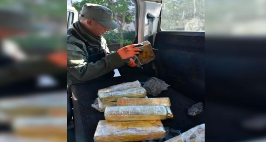 Incautan casi 14 kilos de coca&iacute;na valuada en m&aacute;s de 295 millones de pesos