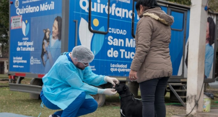 D&oacute;nde se ofrecer&aacute; el servicio de castraci&oacute;n para animales de compa&ntilde;&iacute;a esta semana