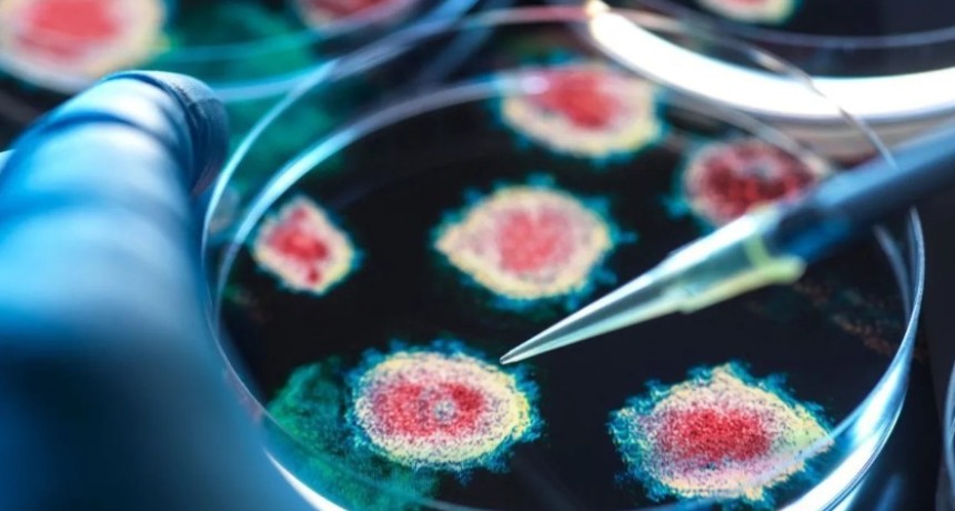 Alerta oficial por la gravedad y aumento de virus respiratorios, hepatitis y hantavirus